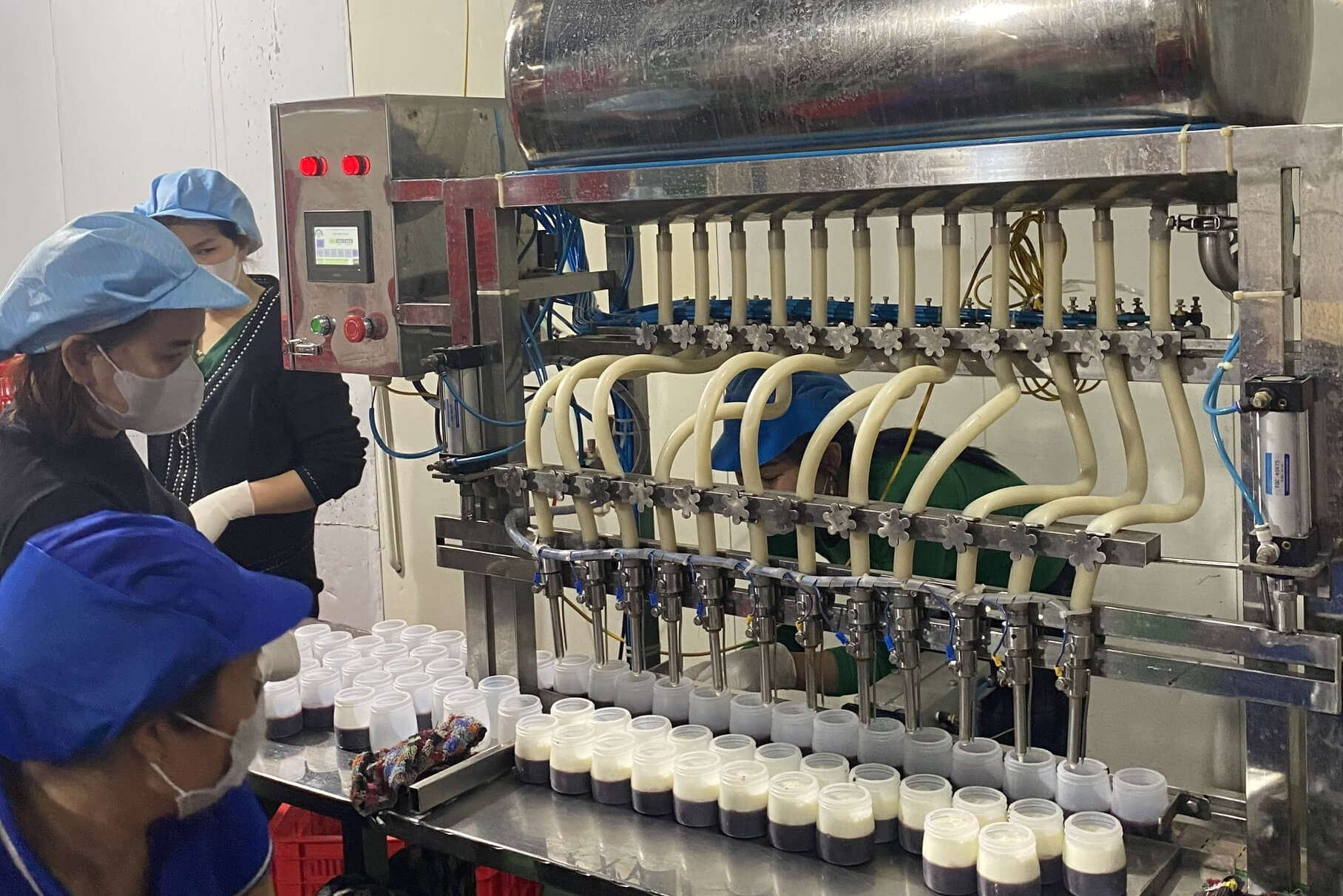 An Khuê trực tiếp chạy thử sản xuất sữa chua lên men động trên dây chuyền thực tế của khách hàng